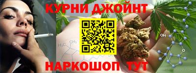 индика Дубна