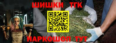 индика Дубна