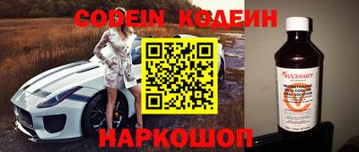 индика Дубна