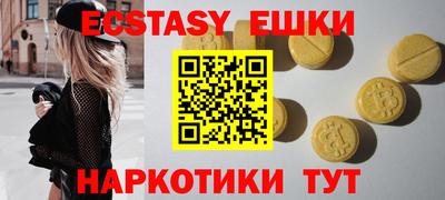 индика Дубна