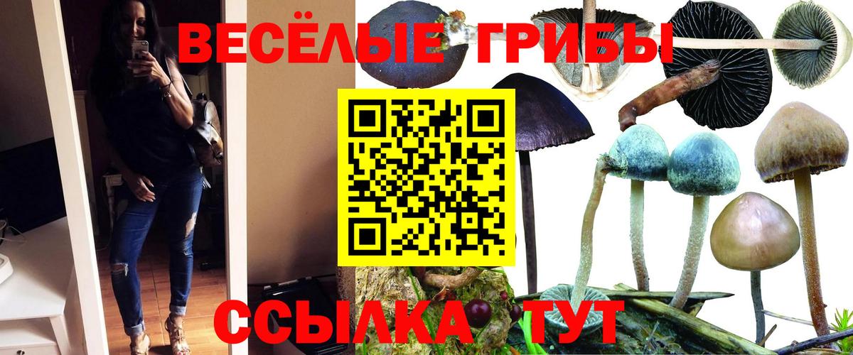 Муравленко  Галлюциногенные грибы GOLDEN TEACHER  Вход с VPN 