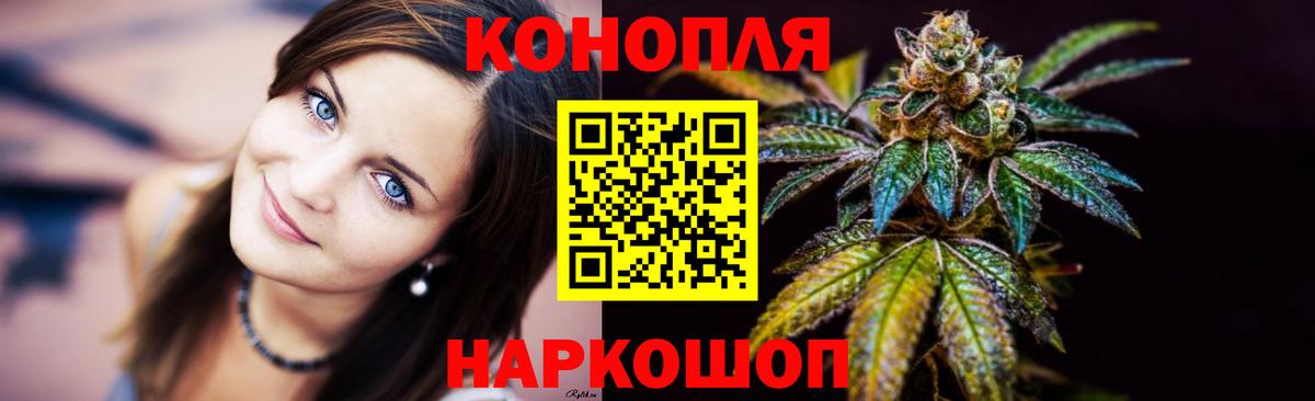 Бошки Шишки семена  Канабис OG Kush  Вход с VPN  Марихуана OG Kush  Канабис тримм  Муравленко 